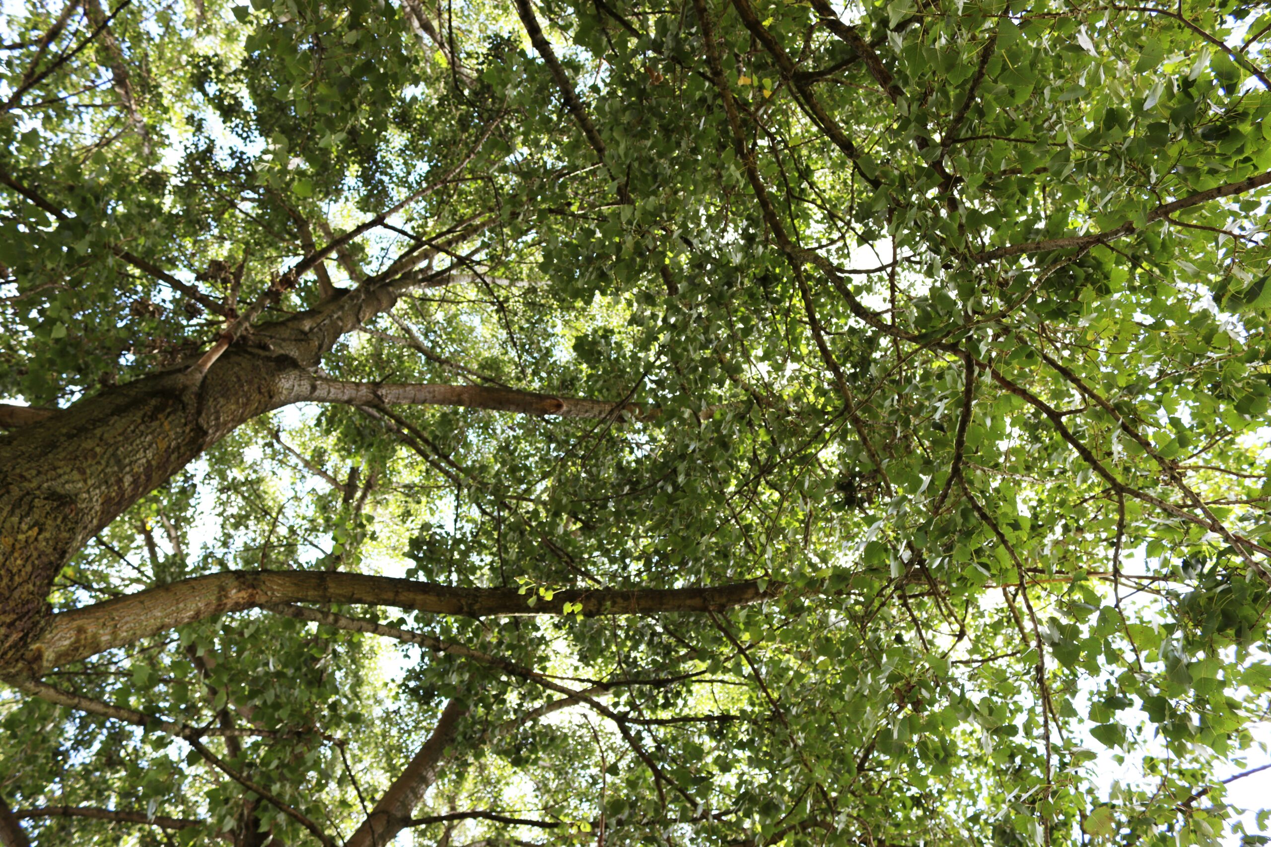 Duurzame natuurbeleving